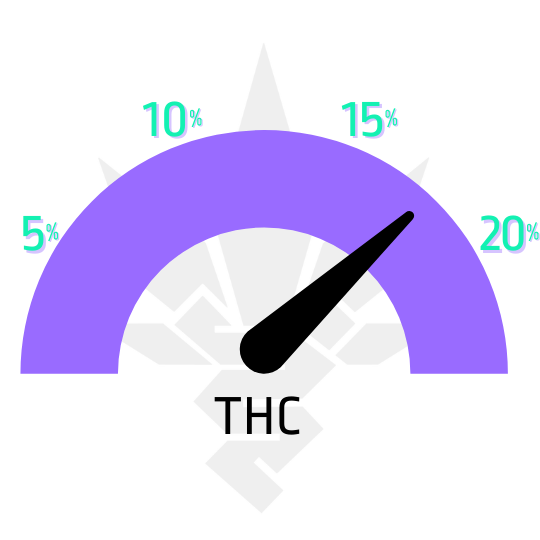 semena Critical od RQS ukazatel THC